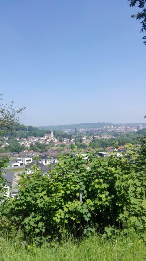 Ferienwohnung Niklas Völklingen Exterior foto